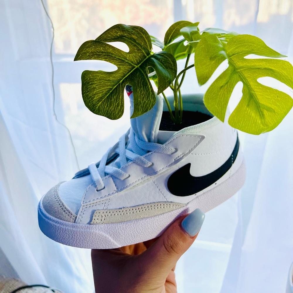 Nike blazer shoe plant hypebeast decor
